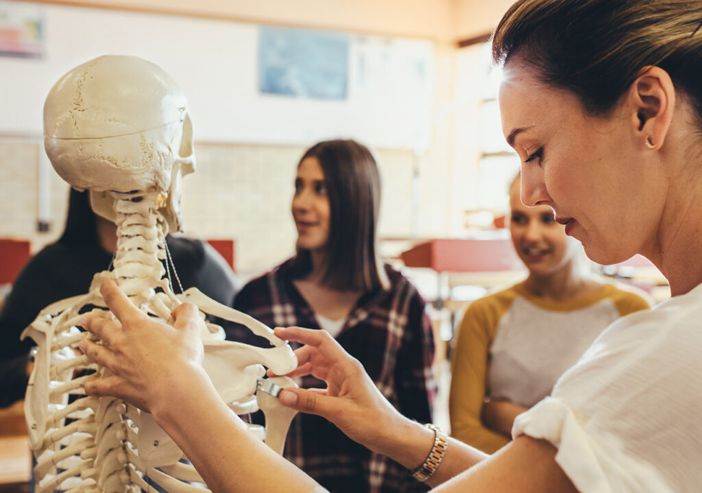 Lehrerin erklärt Schülern die menschliche Anatomie am Skelett